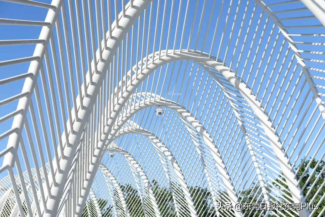 东莞可以看海和赏花的公园,东莞国庆看海游玩推荐