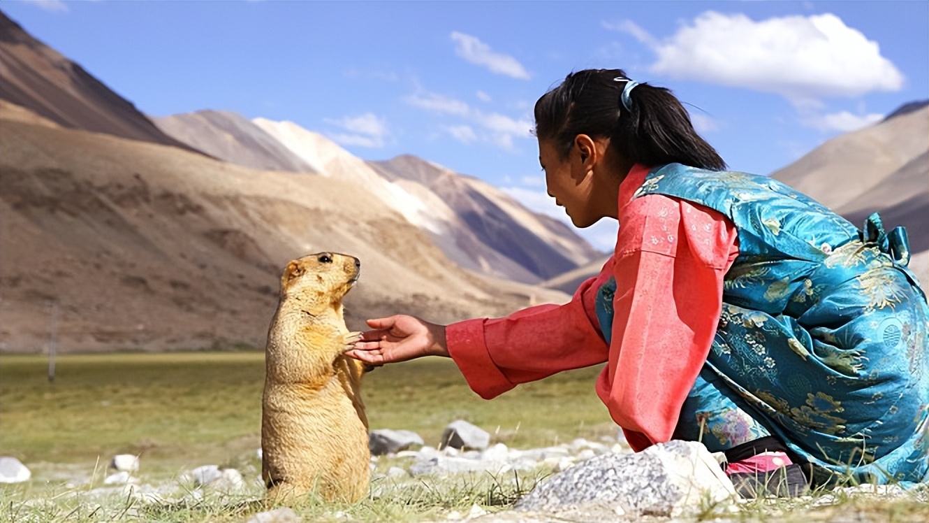 尼姑苦行僧徒步行走,一个小尼姑的艰辛出家路