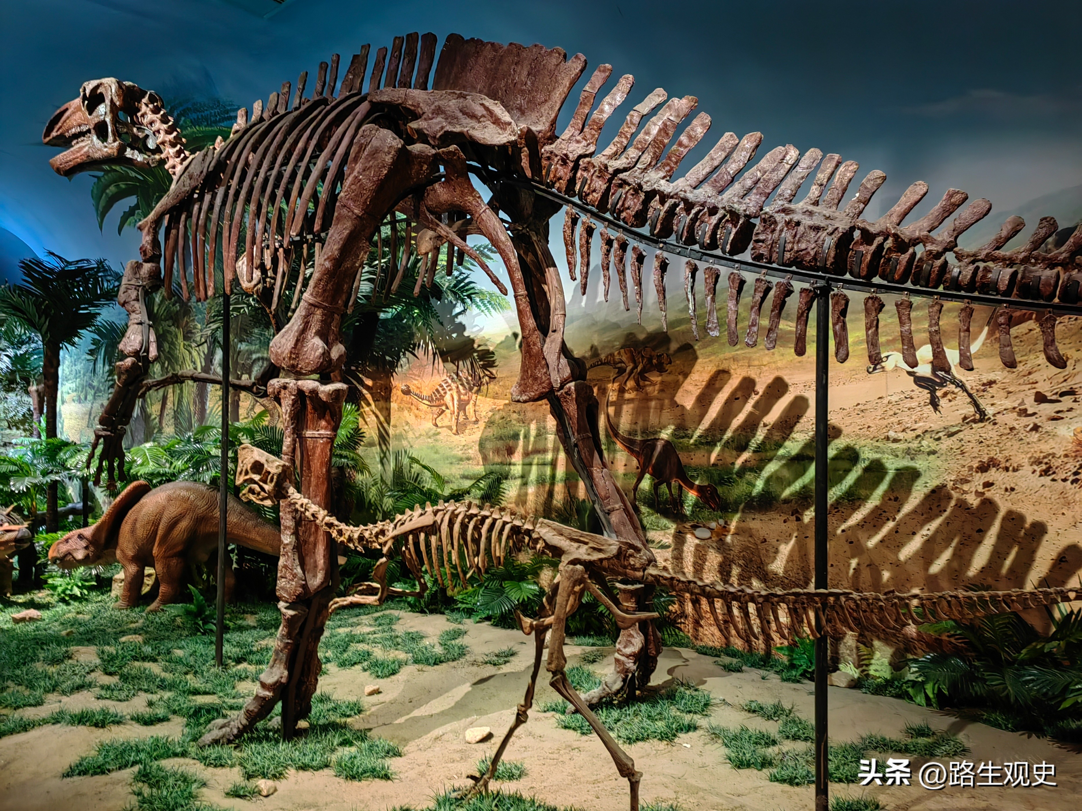 内蒙古恐龙遗迹有哪些,内蒙古草原几百上千年前是海吗