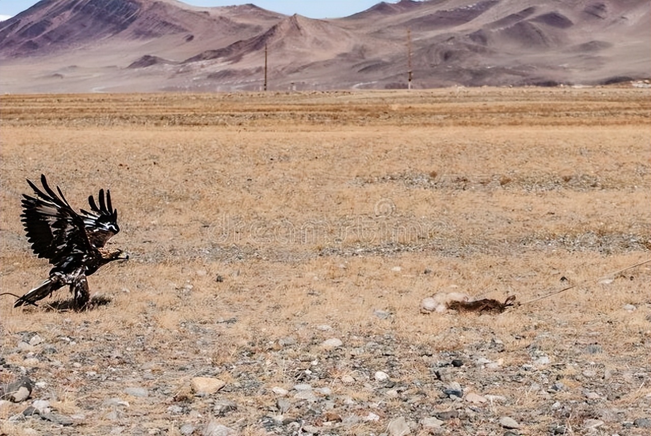 “安城门”的麻二爷（小说）以总题《白村凡人》发表于《渤海风》