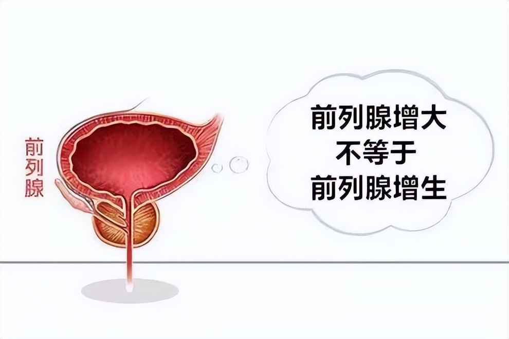 增生变大的原因,增生和再生的区别