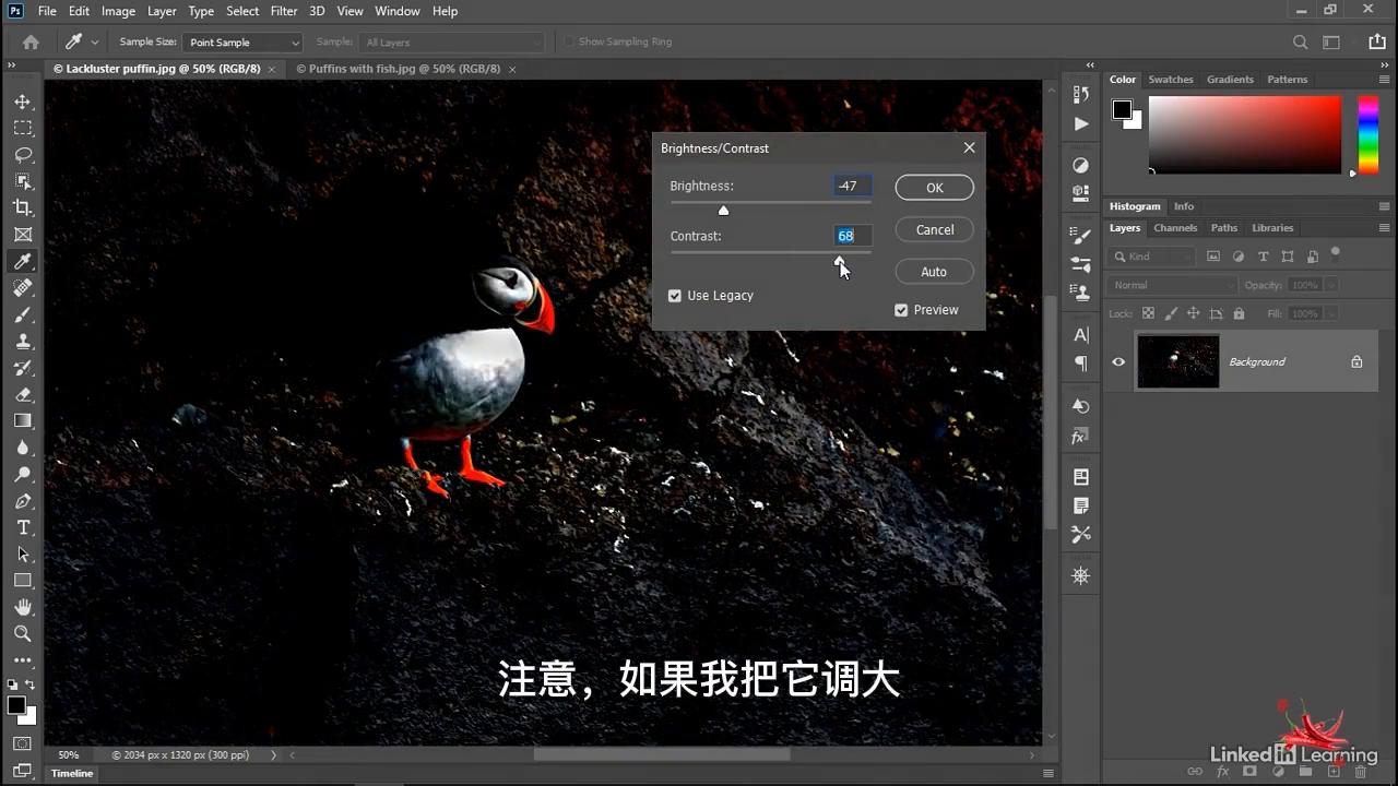 乐辣练习|亮度对比度调整技巧
