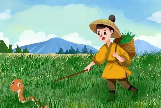 眼镜王蛇有多可怕,为什么眼镜王蛇敢攻击人