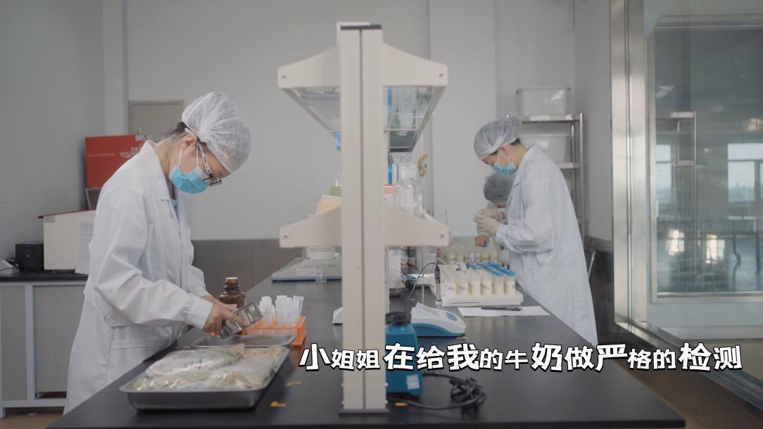 万家宝娟姗牛的自我介绍