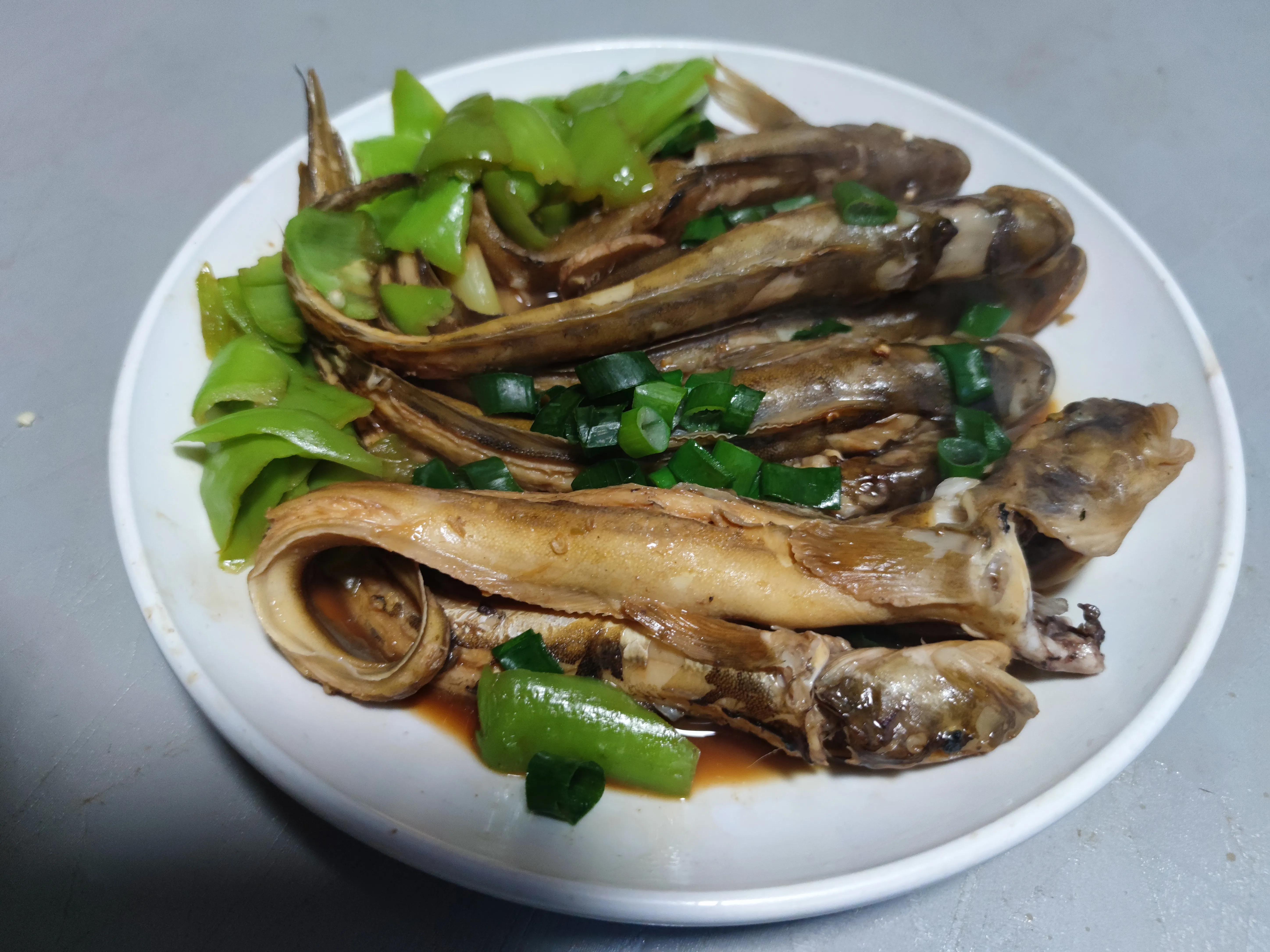 这个季节野生的海鱼有哪些,现在季节吃的海鱼有什么品种