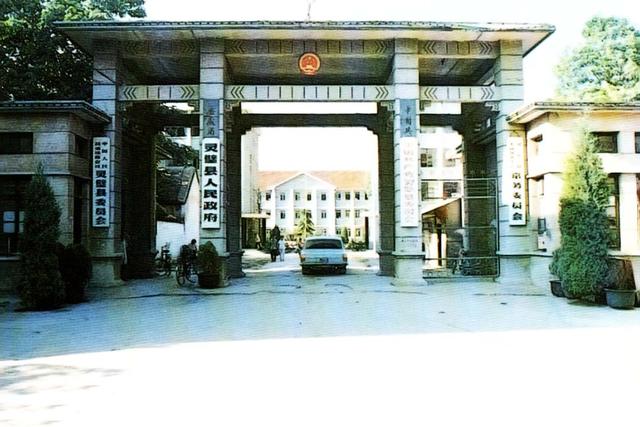 1994年山东女子挖到35克拉钻石,挖钻石真实案件