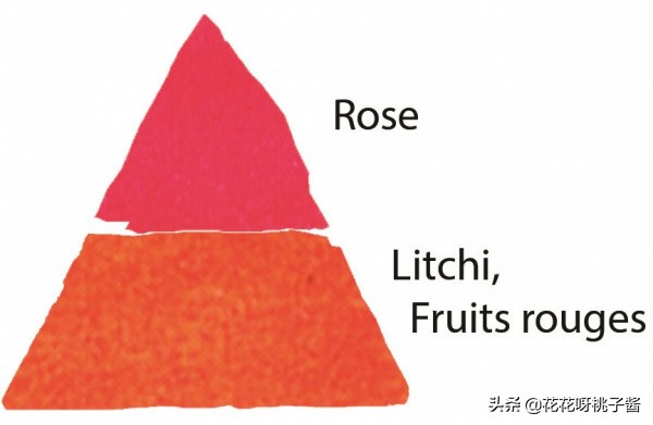 黄色月季哪个品种耐热耐晒抗病强,最耐热耐晒的切花藤本月季品种