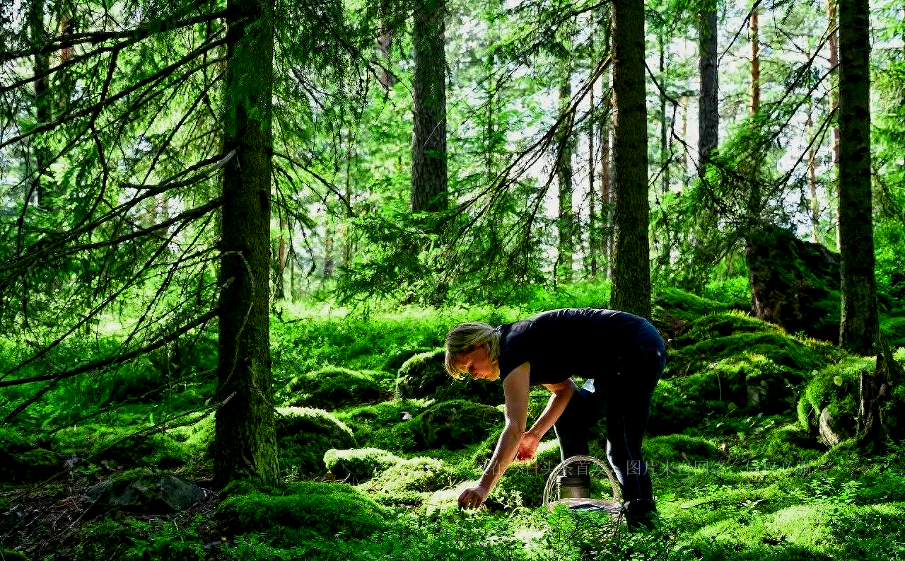 带你看真实的芬兰,芬兰的真实感受