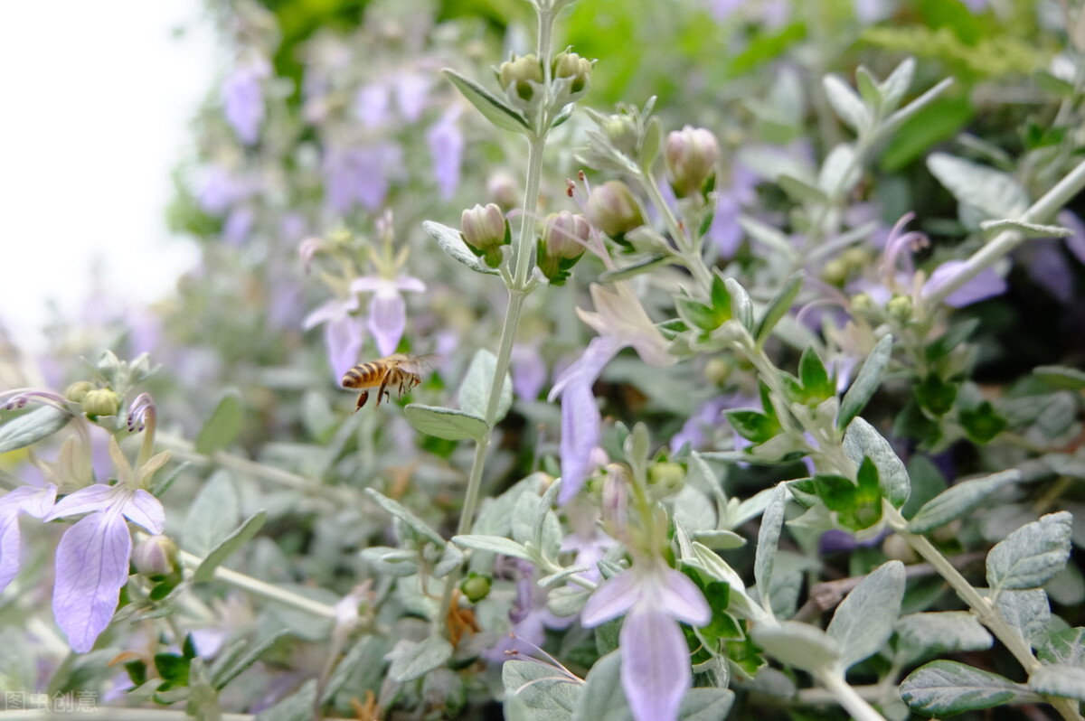 有种女人让男人爱到上瘾,4招轻松成为让男人上瘾的女人