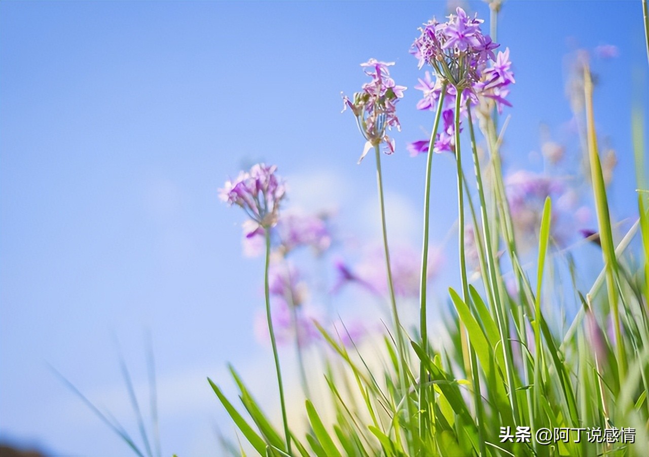 虚伪的人常常说这几种话别深交,虚伪的人往往有这三个表现