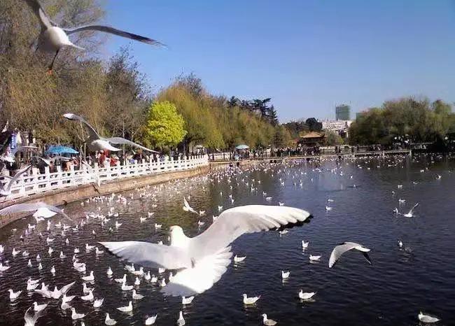 这个季节去哪里玩最合适昆明周边,昆明周边过年旅游推荐