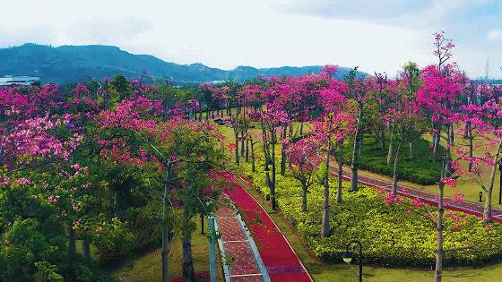 珠海原本的模样,珠海有什么即将消失的东西