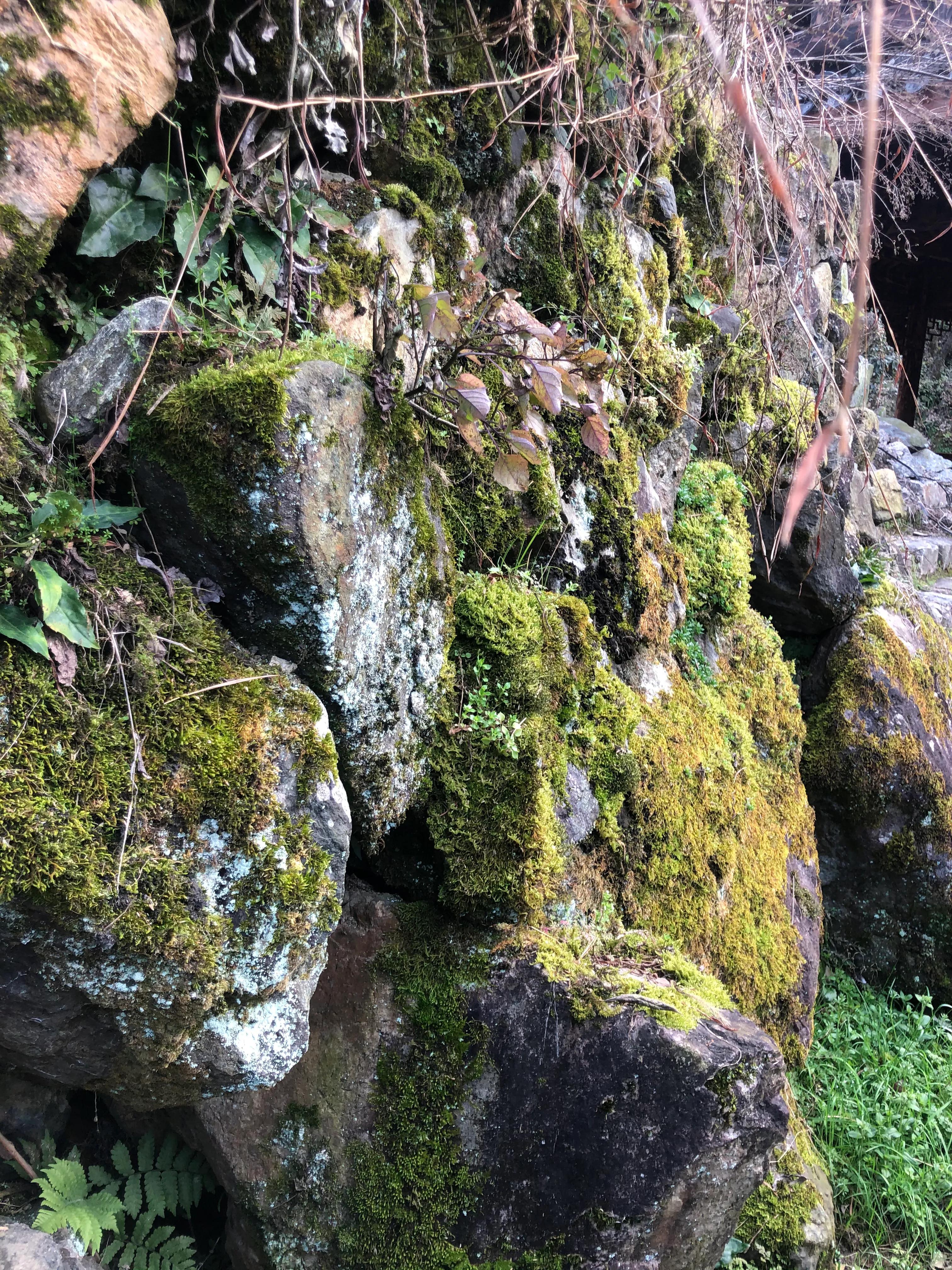 畲寨东弄田园综合体团购,畲寨东弄田园综合体好玩吗