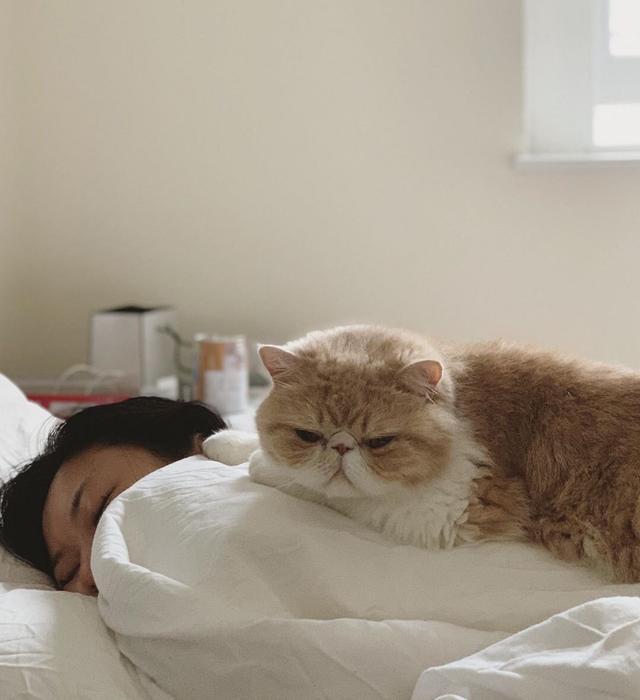 钟南山院士建议孕妇养猫狗原视频,钟南山院士谈养猫预防哮喘