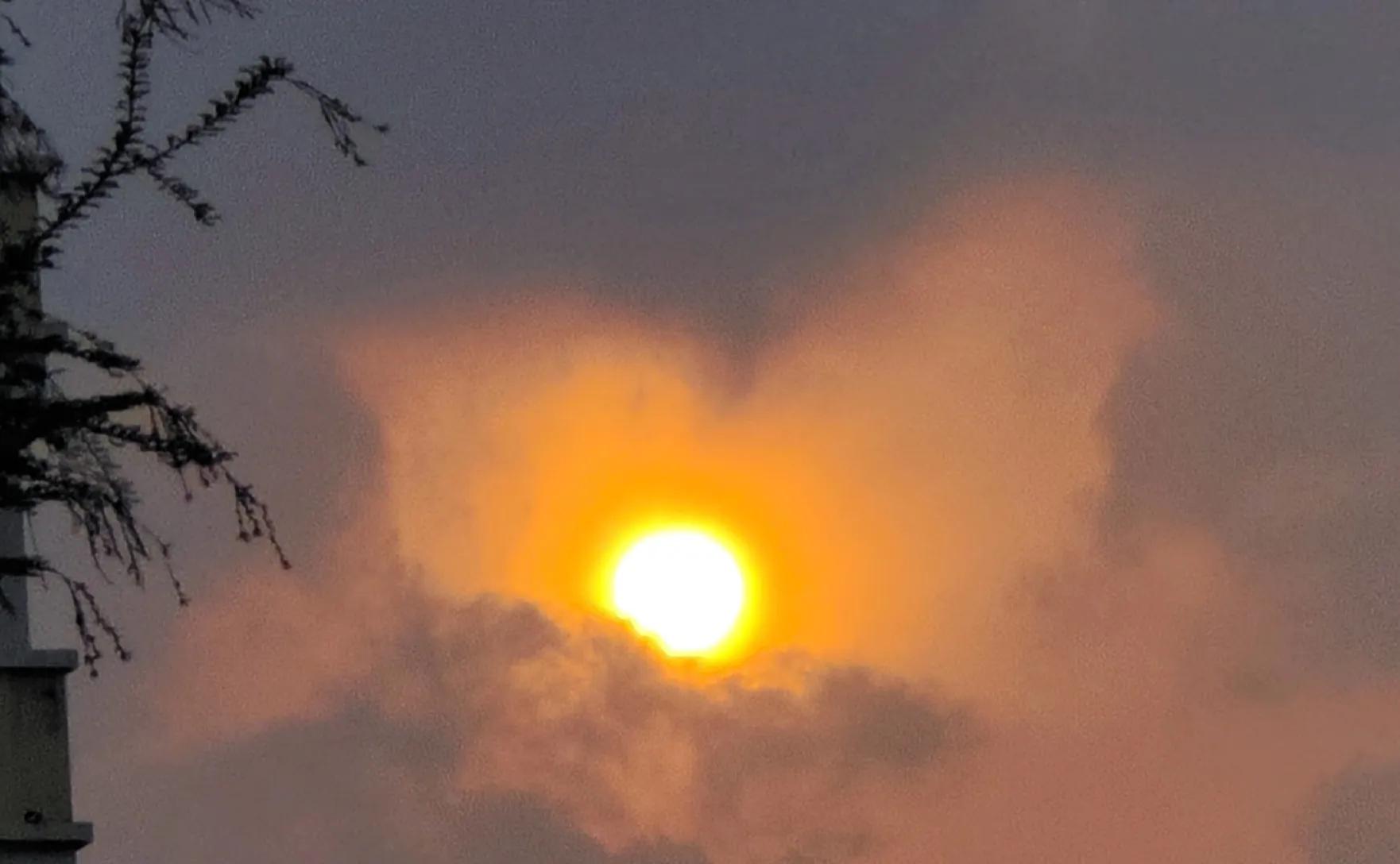 中庸智慧精华解析,中庸之道是先圣先贤的智慧结晶