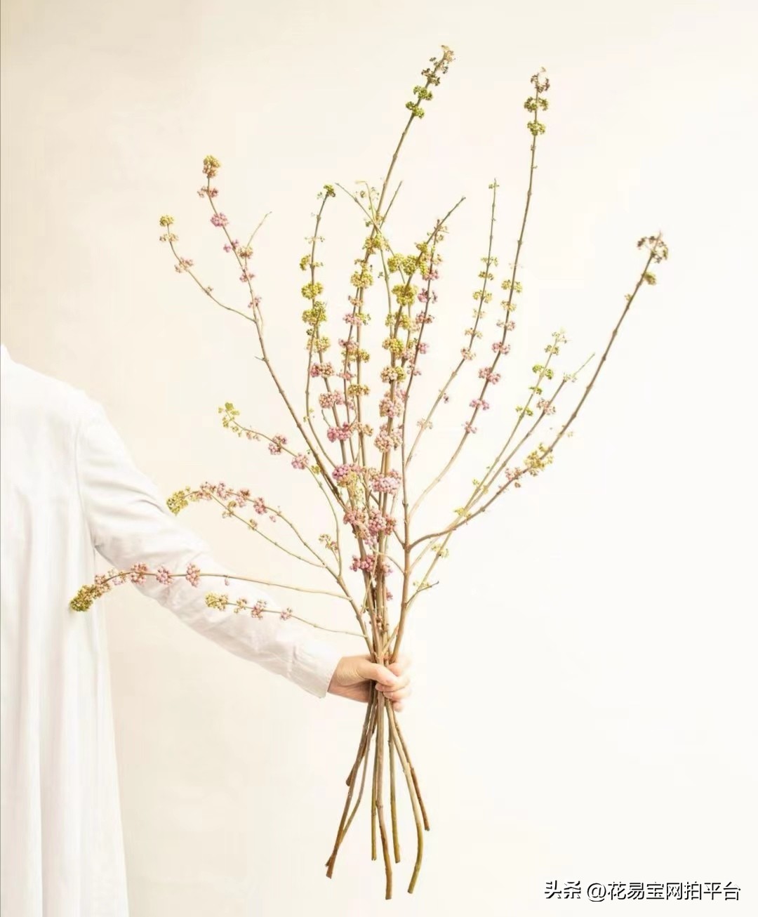 9月份红色好看的花材,颜值高的花束合集