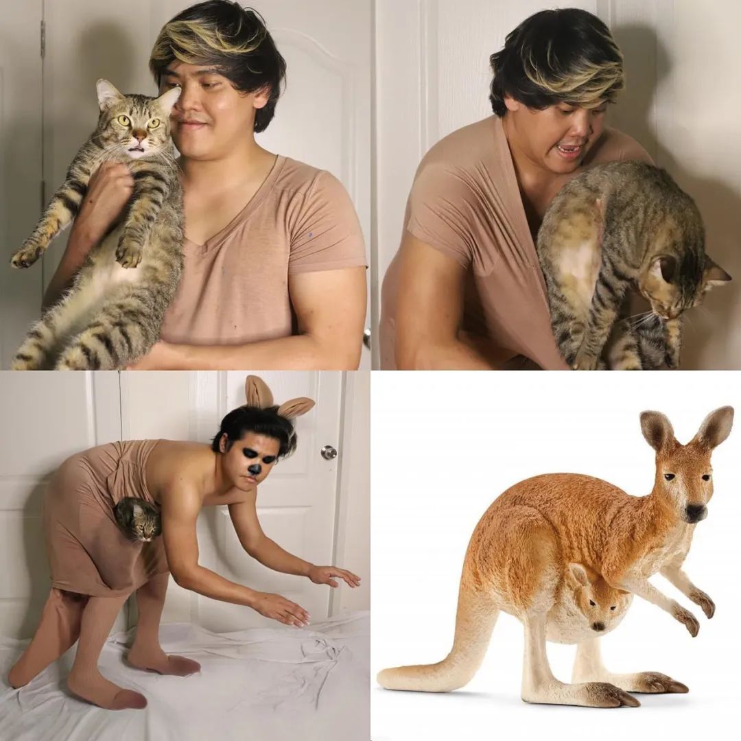 哈哈哈这些猫咪cospaly好怪，再看一眼，还是好怪