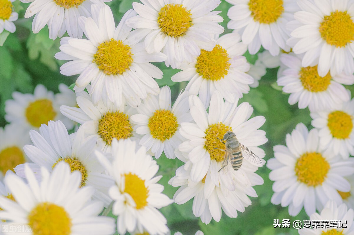 自媒体怎么一个月赚1000,自媒体怎么做到一月挣一万