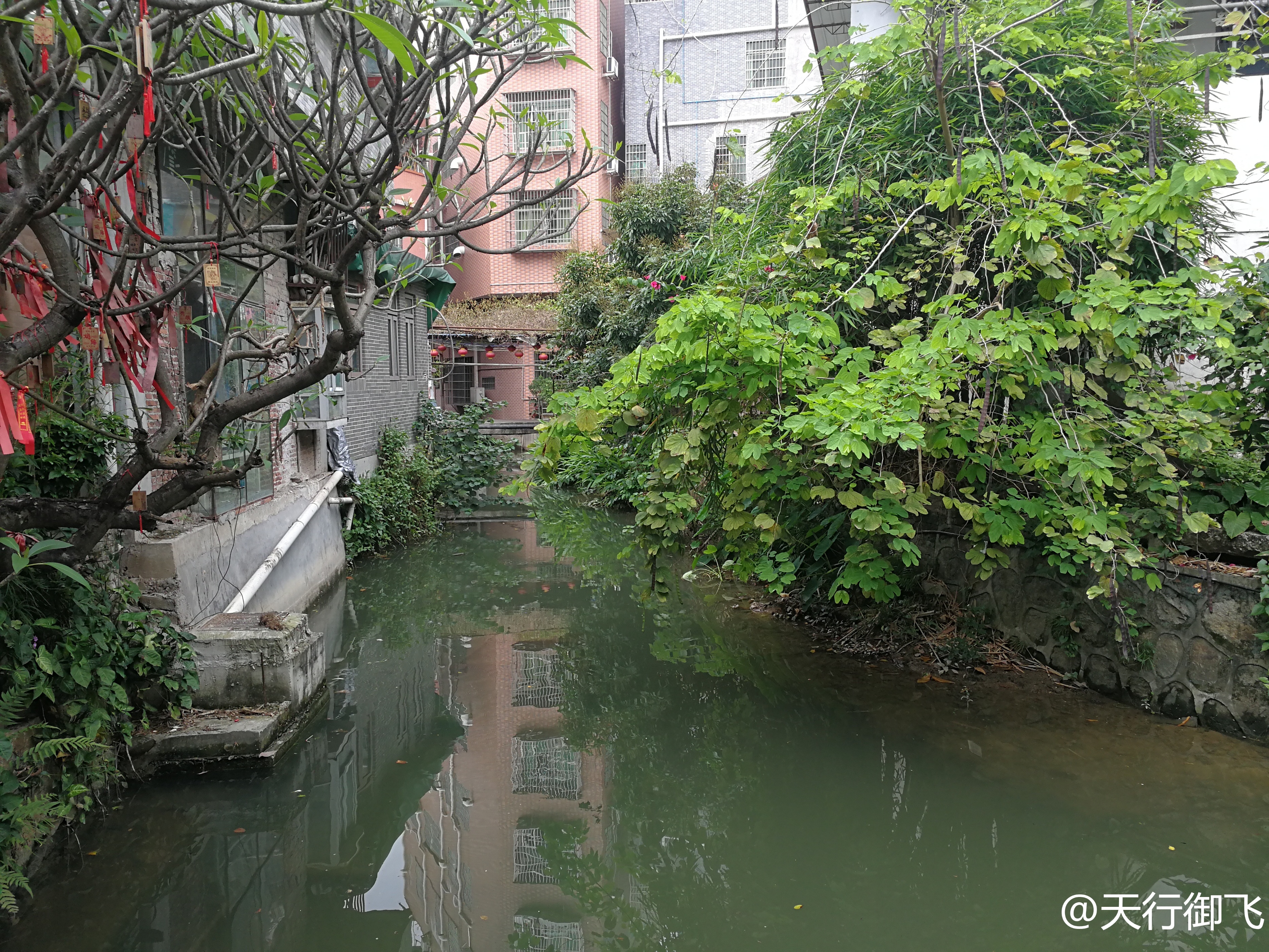 小洲村旅游景点地图,小洲村一日游最佳攻略