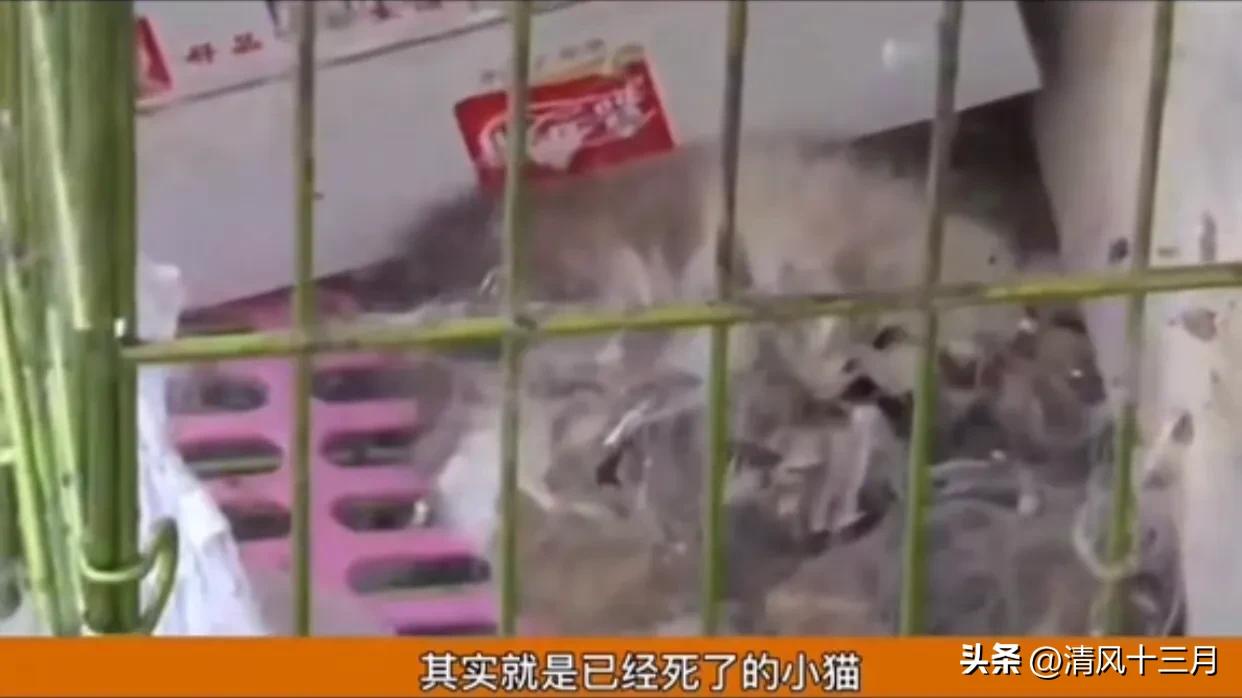 出租房租客不搬离怎么办,房屋出租他不给租金又不走怎么办