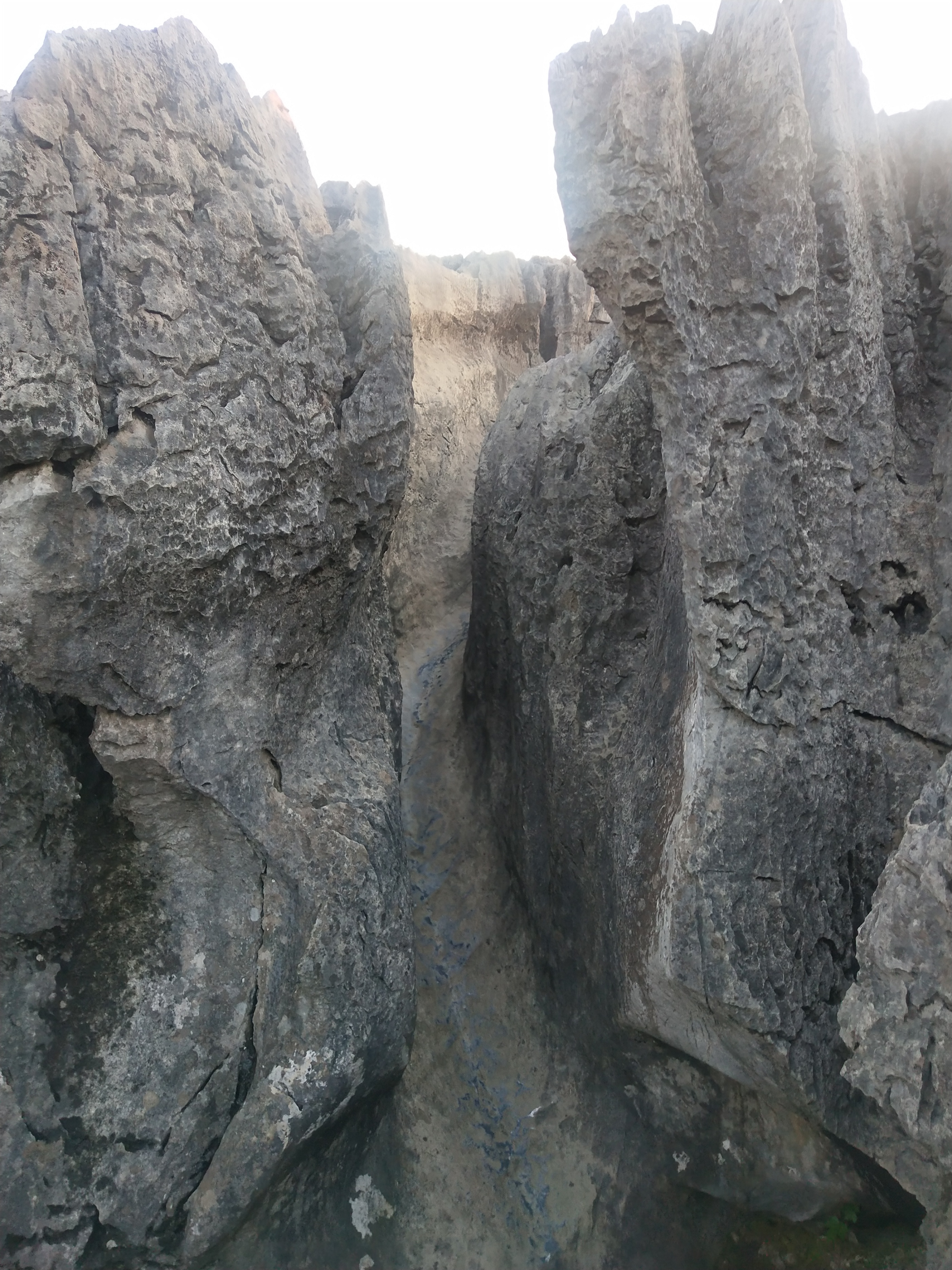 2020灌阳文市石林要门票吗,灌阳文市石林景区门票是多少