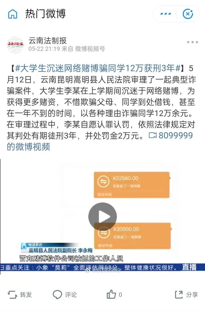 世界杯开赛在即远离非法购彩,世界杯观球指南