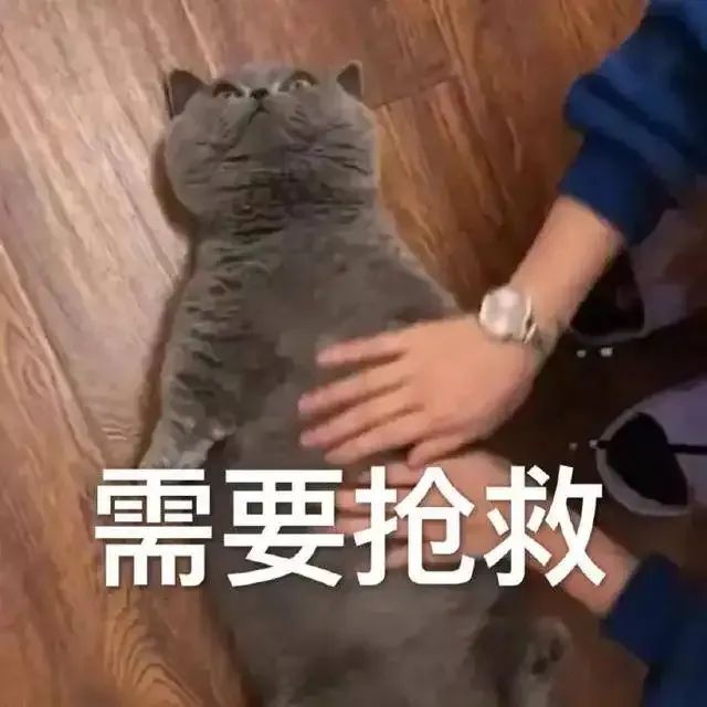 为什么我想聊天却聊不起来,为什么聊天聊不出来感情