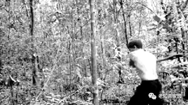 陈凯歌老照片大全集,陈凯歌的知青岁月