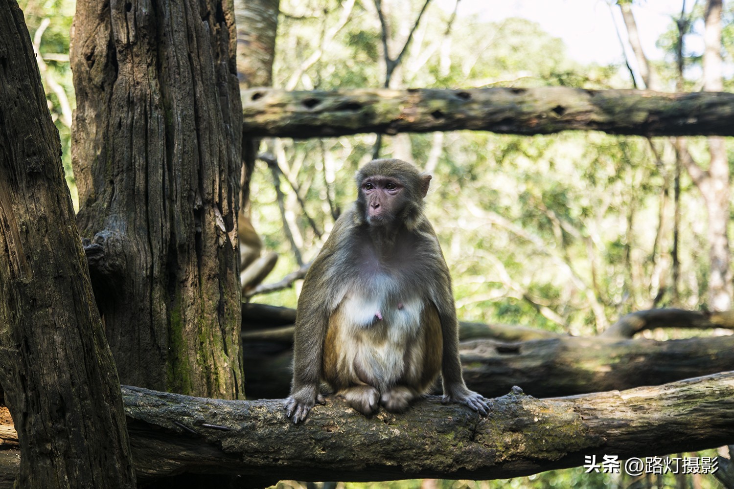 普洱与昆明谁更适合养老,普洱和弥勒哪个更适合养老居住