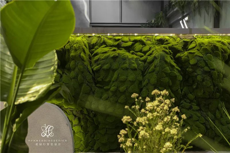 浪姐3宣传片决赛,浪姐3宣传片