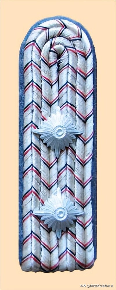 二战德国军官学历,二战德国上将级军官