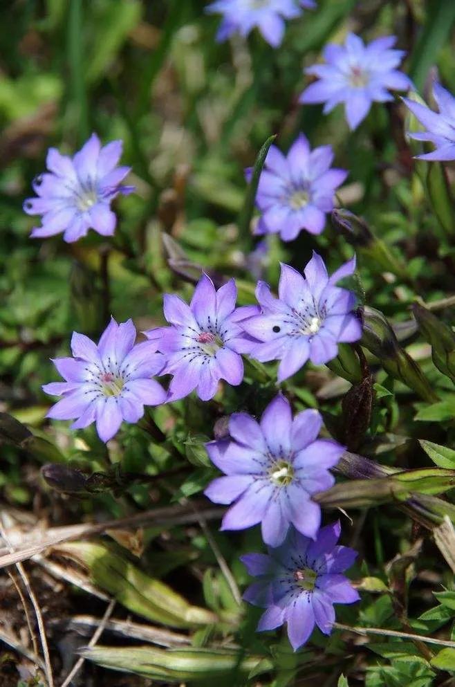 学习认知,认知觉醒总结及感悟