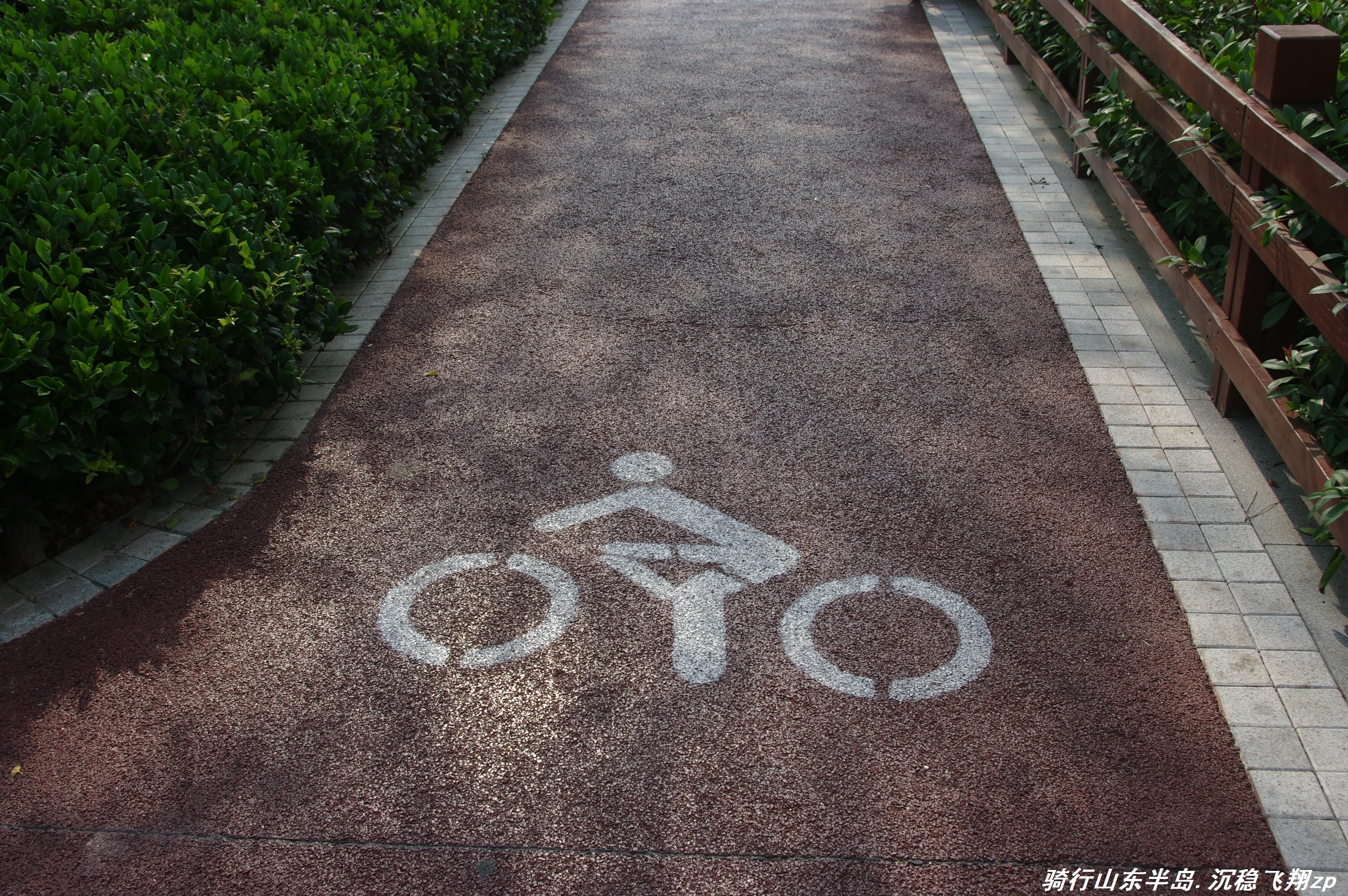 骑行山东半岛需要几天,骑行山东半岛d8