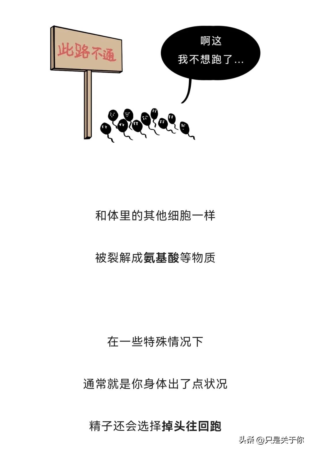 那些男人硬憋回去的“精子”都跑哪去了？这个操作伤身体吗？漫画