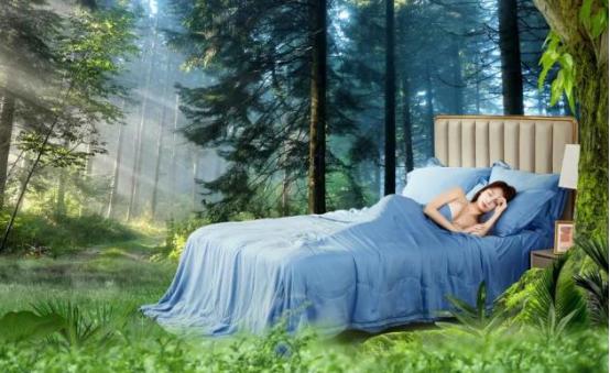 看十大蚕丝被品牌有哪些？蚕丝被品牌之间的差异化