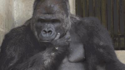 新浪博客登录保护怎么取消,怎么找回新浪博客文章