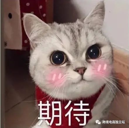 涪陵seo推广技巧的干货分享,干货多语言seo优化策略大全