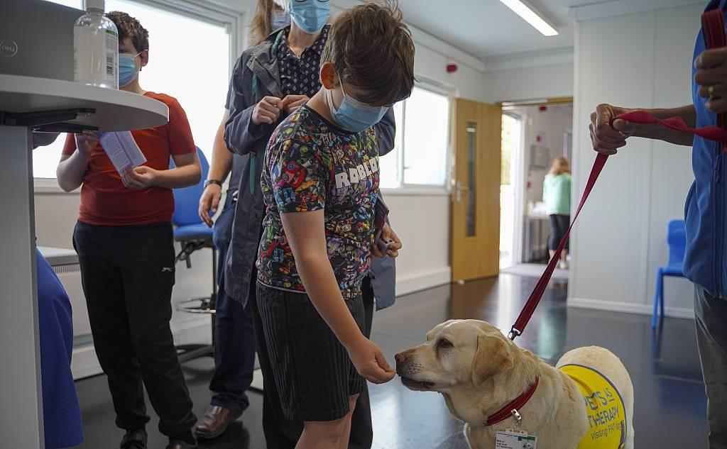 解锁孩子成长的内心密码,解锁儿童成长的秘密