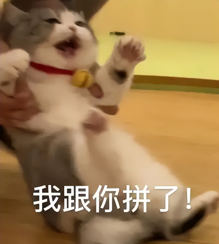 荷兰租房,荷兰租房攻略及费用