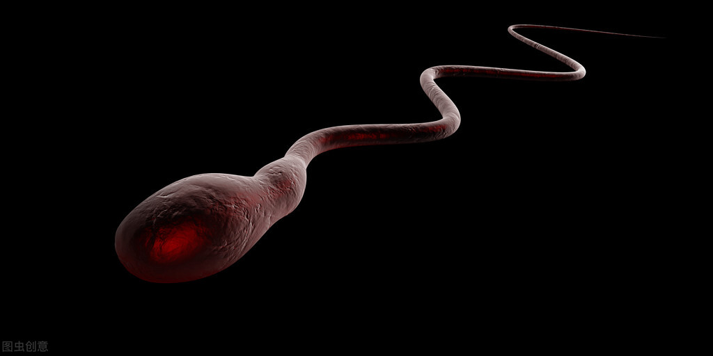 人类部分精子会得卵子“偏爱”，卵子要给心仪的精子“开后门”？