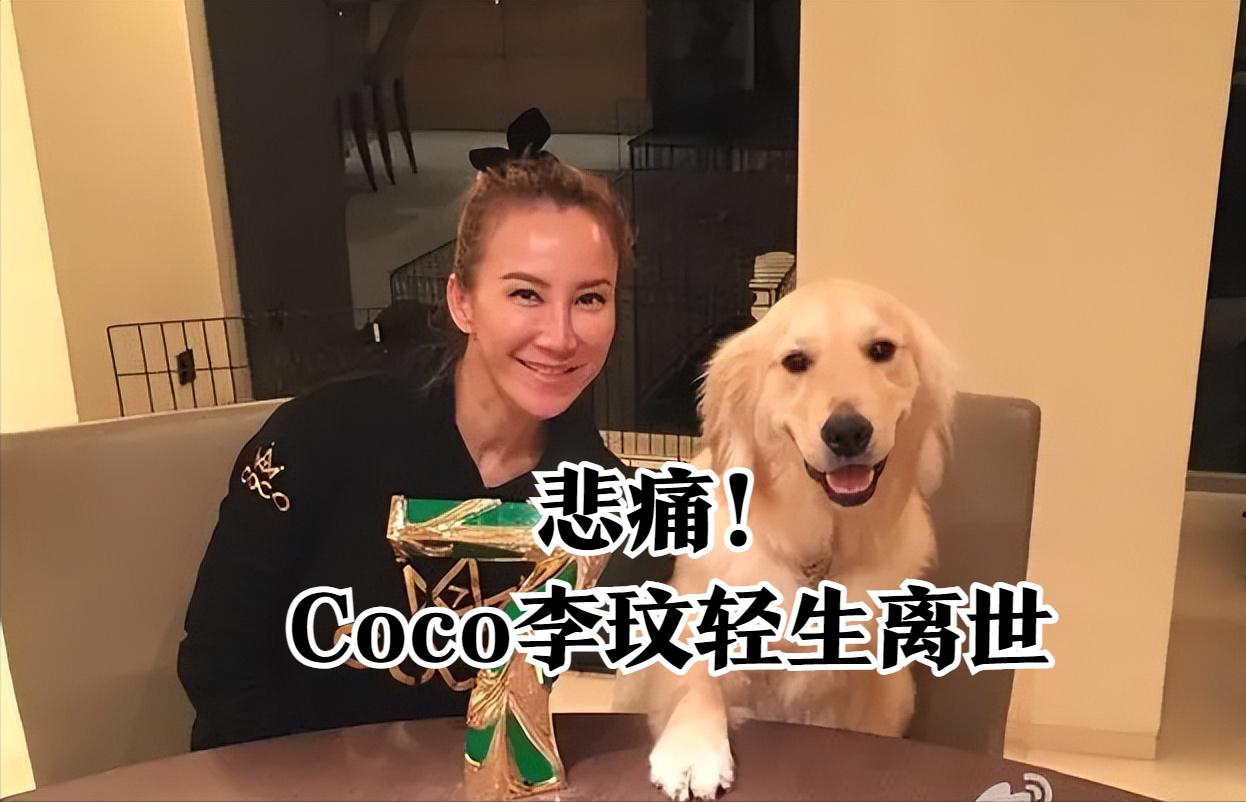 CoCo鏉庣師涓嶅垢杞荤敓鍘讳笘,coco鏉庣師杞荤敓绂讳笘