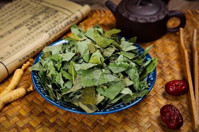 淫羊藿农村地里能找到吗,北方有淫羊藿的植物图片