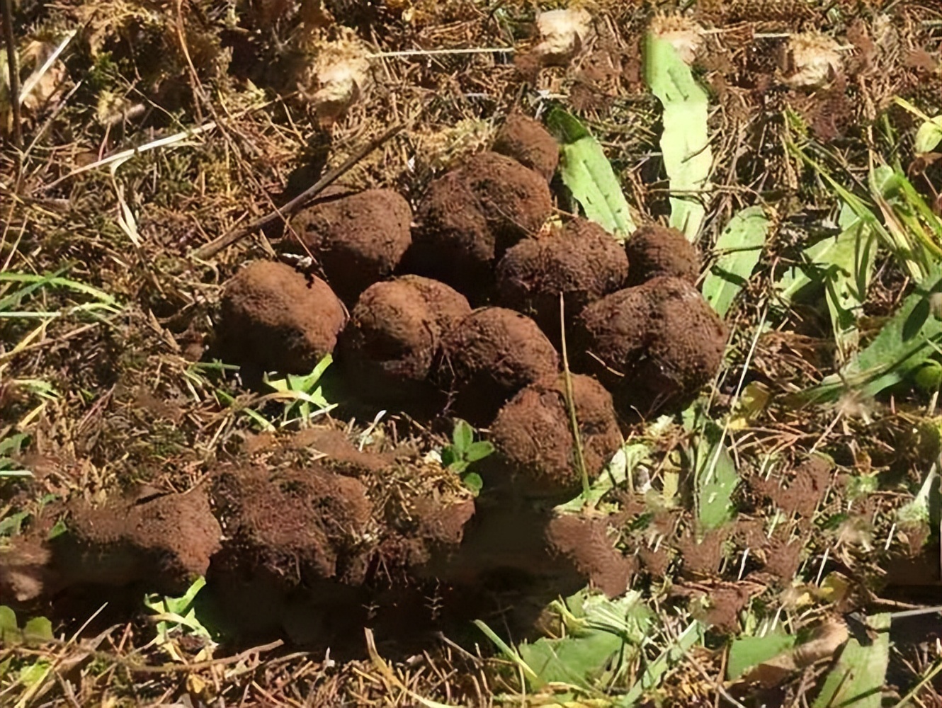 曝光十款智商税产品大家避坑,典型产品智商税