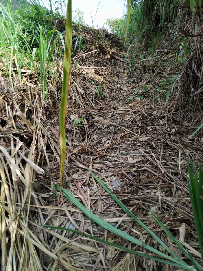 郴乐古道之水头江宜乐古道--广东省乐昌市庆云镇