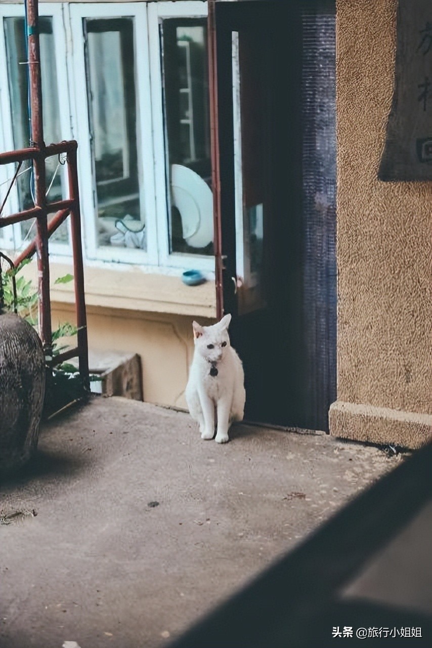 夏日海边微醺氛围感,滨城风光秀丽浪漫气息爆表