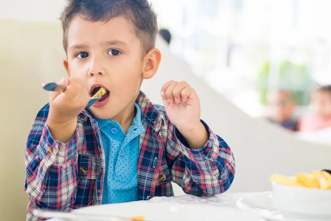 springtomind,springtomind什么意思