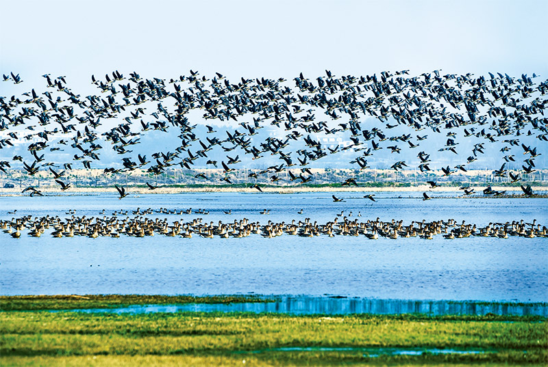 构建新发展格局的具体要求,在构建新发展格局中展现新作为