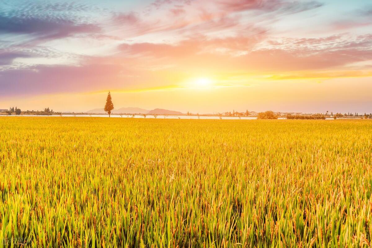 工作是一种修行,做着不喜欢的工作是一种折磨