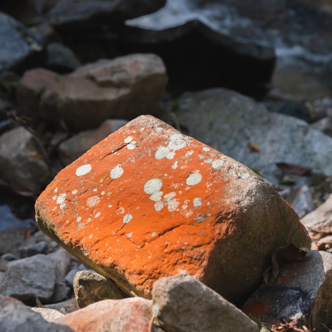 登太白山感受,太白山景区登顶拔仙台