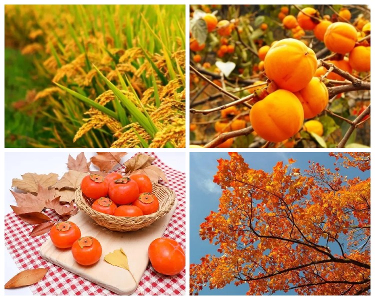 秋天西装套装女装气质,秋天穿搭女小个子气质卫衣